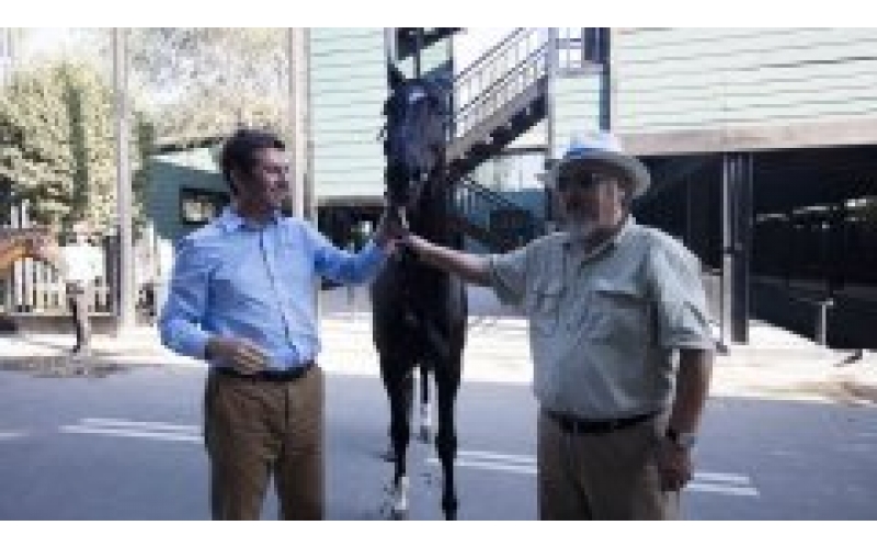 胡潤(rùn)百富“最受尊敬企業(yè)家晚宴”落幕 陳志峰董