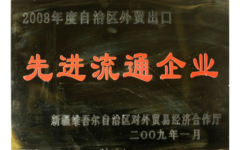 2009年新疆外貿(mào)出口先進企業(yè)