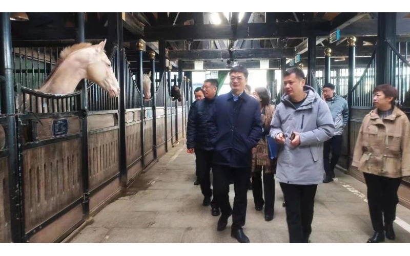 高雷副廳長在野馬集團調(diào)研時表示，要通過科技助力，精準解決“卡脖子”問題