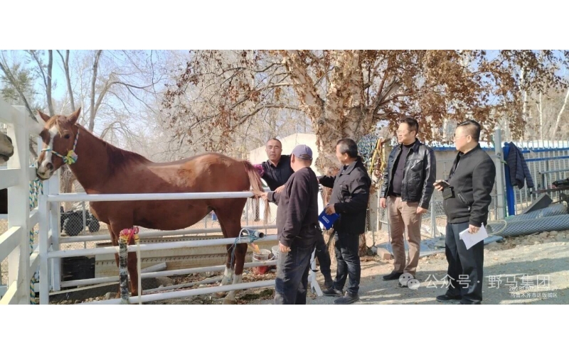 政策支持 企業(yè)發(fā)力 農(nóng)民受益——現(xiàn)代畜禽種業(yè)提升專項資金項目成效顯著