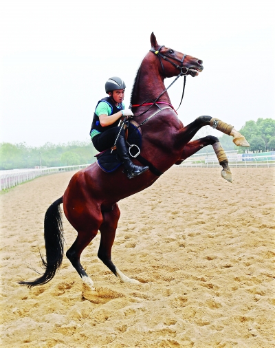 圖片關(guān)鍵詞